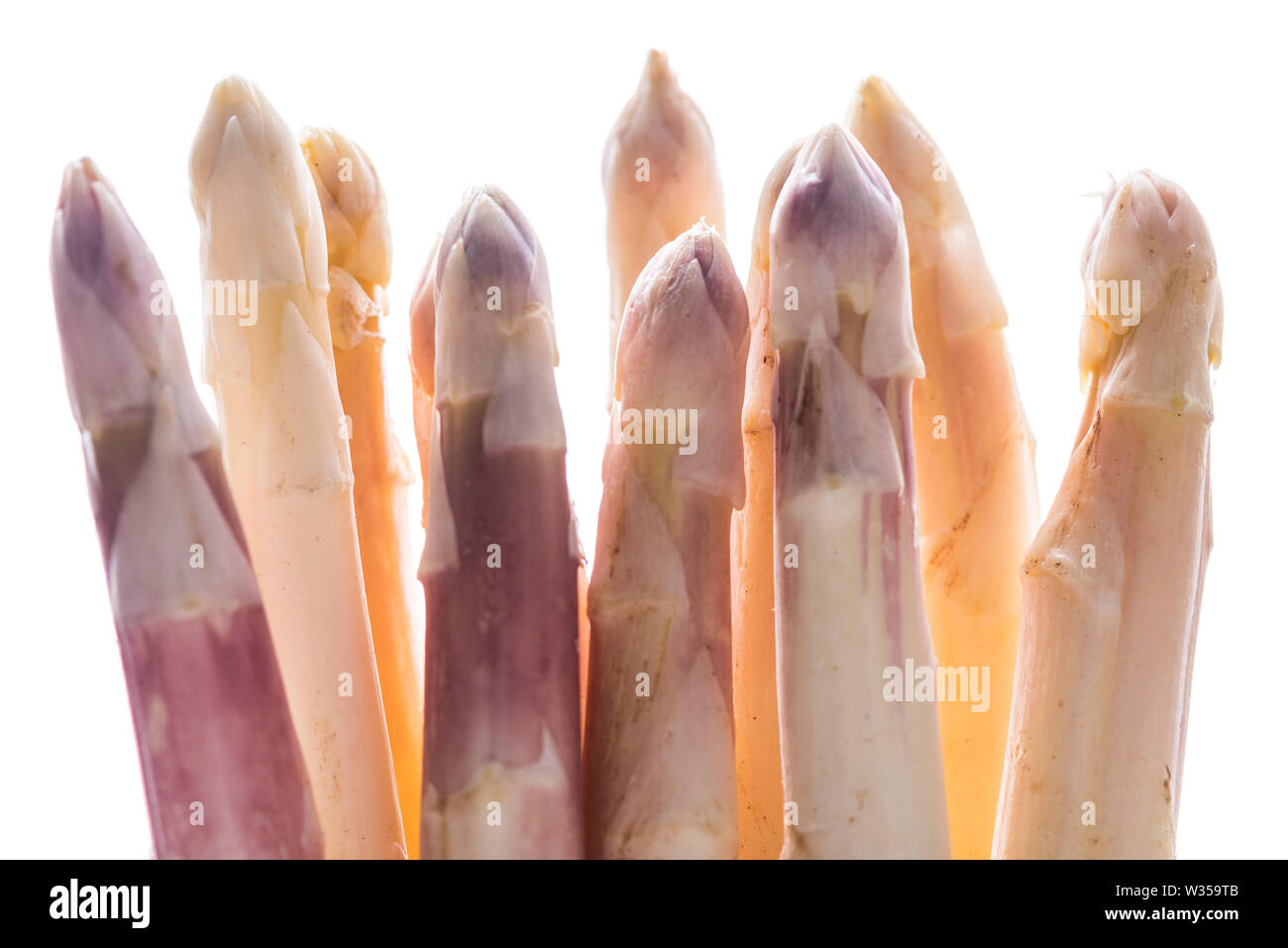 I germogli di asparagi bianchi retroilluminati e in primo piano Foto Stock