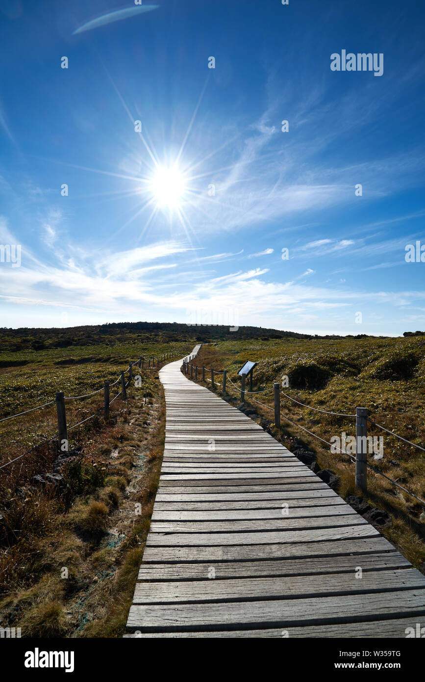 La via per il monte hallasan, Jeju Island, la Corea del Sud. Foto Stock