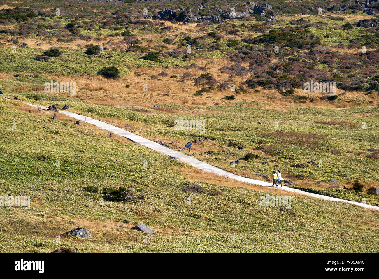 La via per il monte hallasan, Jeju Island, la Corea del Sud. Foto Stock