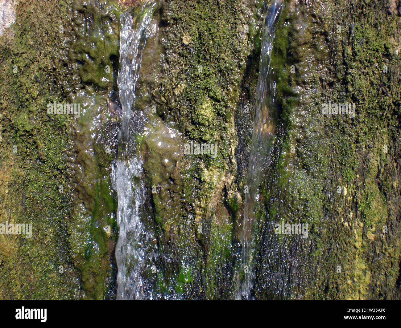 Una piccola cascata in un verde foresta vicino fino Foto Stock