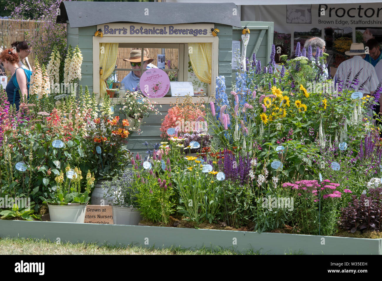 Colorato display vivaio a RHS Hampton Court flower show 2019. Hampton Court, Surrey, Inghilterra Foto Stock