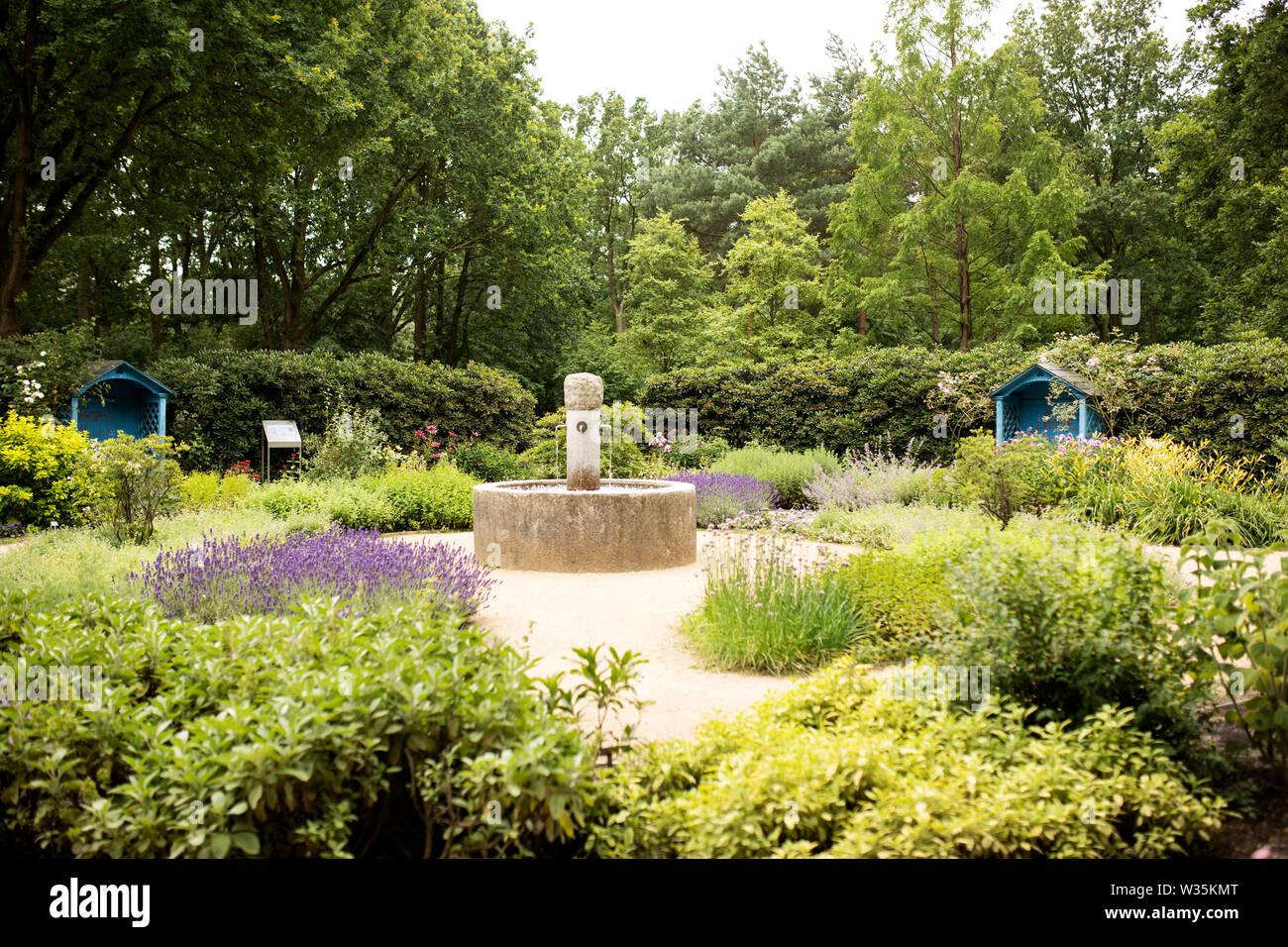 Il Duftgarten (profumo o fragranza giardino) è un giardino per i sensi presso il Parco di rododendro in Bremen, Germania. Foto Stock