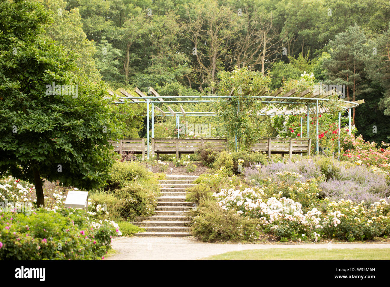 Un grande gazebo in giardino di rose di rododendro Park su un giorno di estate in Bremen, Germania. Foto Stock