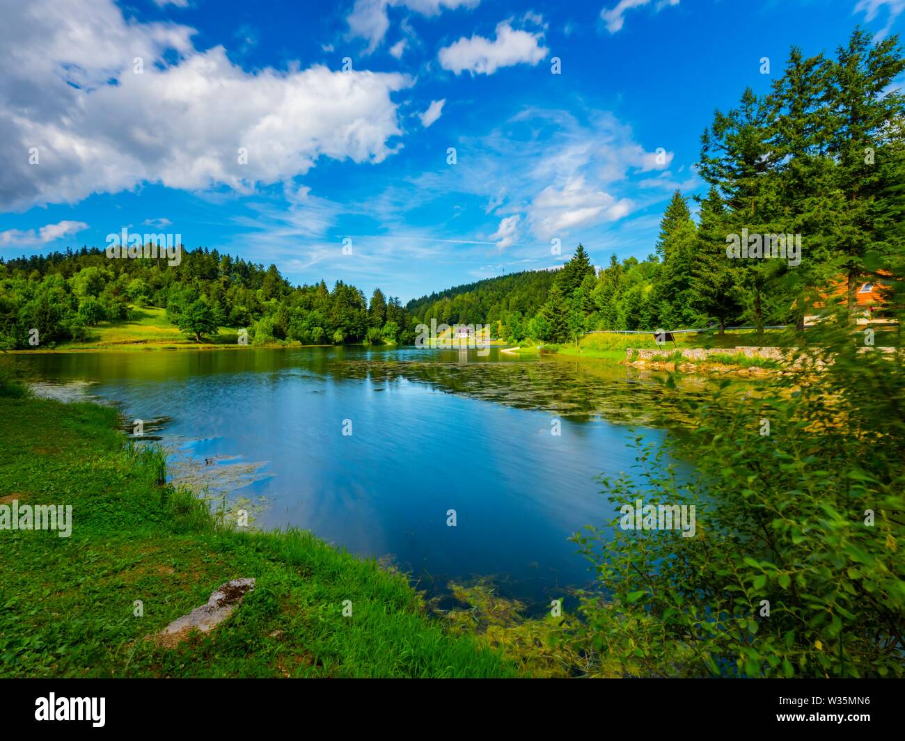 Foresta verde natura Mrzla vodica in Croazia Foto Stock