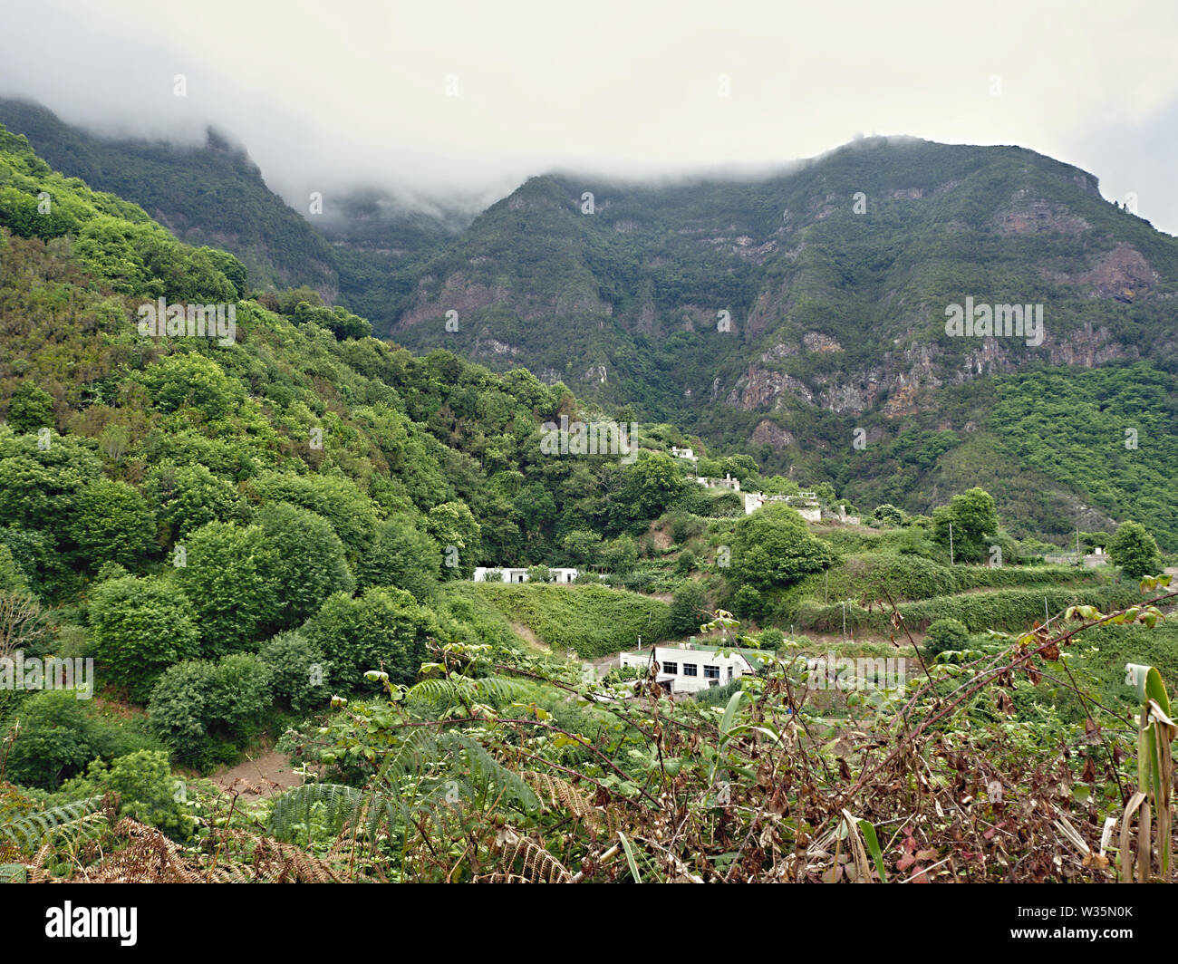 Il verde e selvaggia alta altitudine nel nord dell'Isola Canarie Tenerife, oltre a Los Realejos. Foreste di acacia e un imponente montagna rocciosa in bac Foto Stock