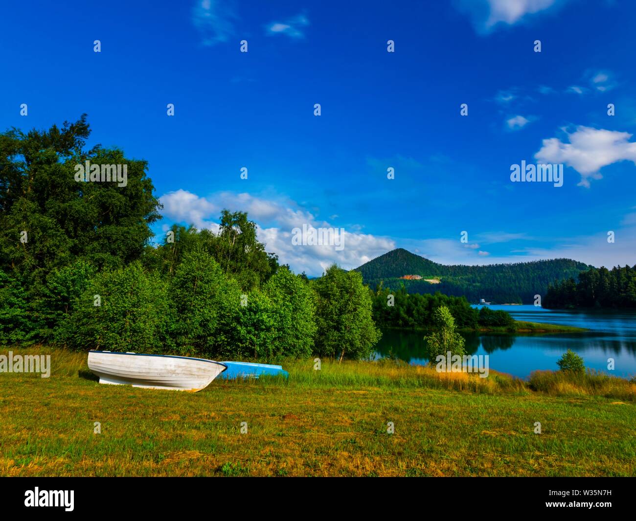 Foresta verde natura Lokvarsko jezero Lokve in Croazia Foto Stock