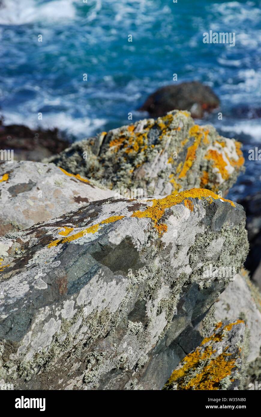 Il Lichen coperto rock si affacciano8ng mare, Cornwall, Regno Unito Foto Stock