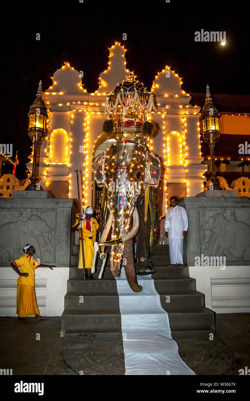 Il Mangala Hasthirajaya (cerimoniale Tusker) esce il tempio della Sacra Reliquia del Dente all'inizio dell'Esala Perahera a Kandy in Sri Lanka. Foto Stock