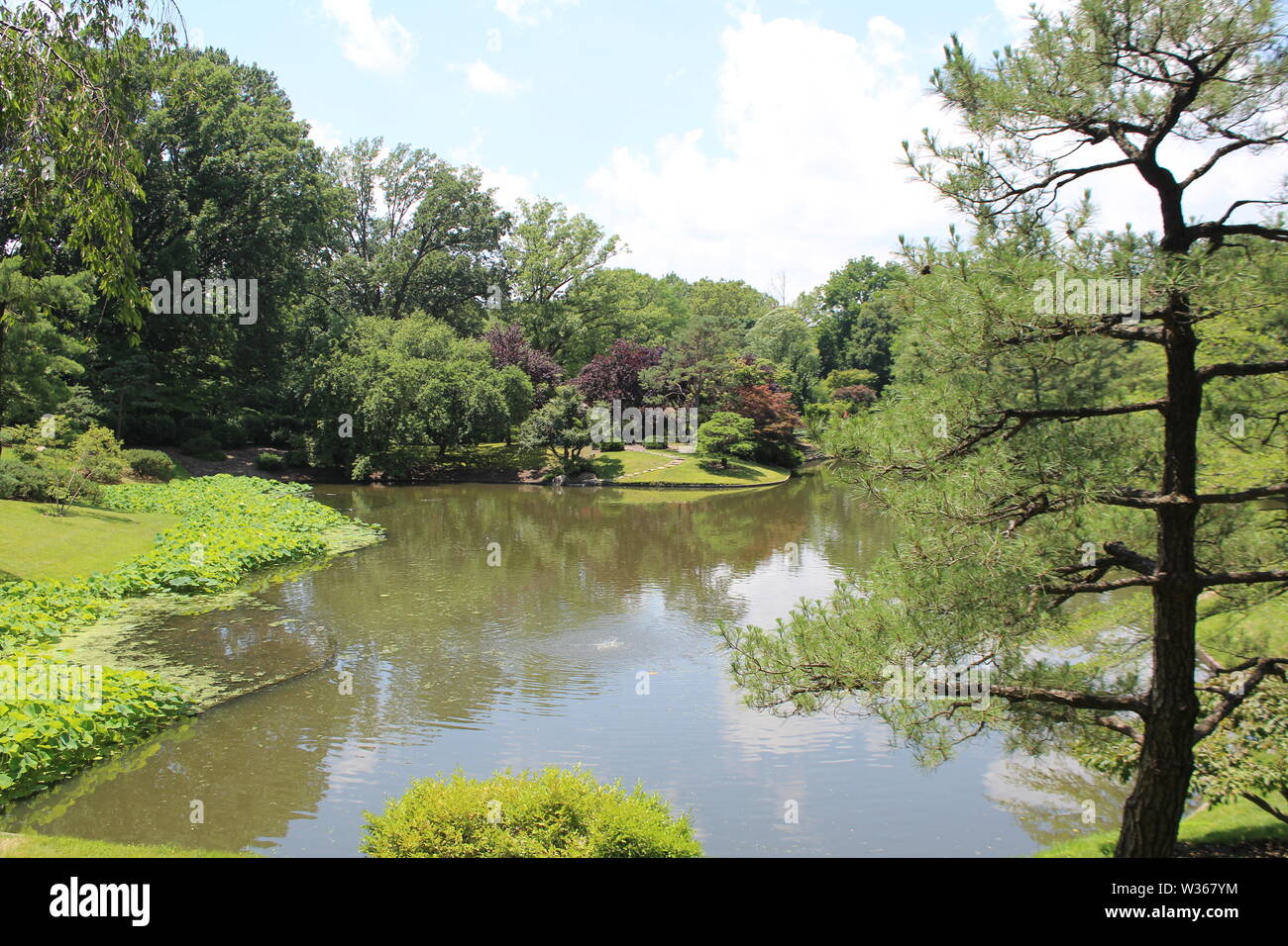 Giardino Zen Foto Stock