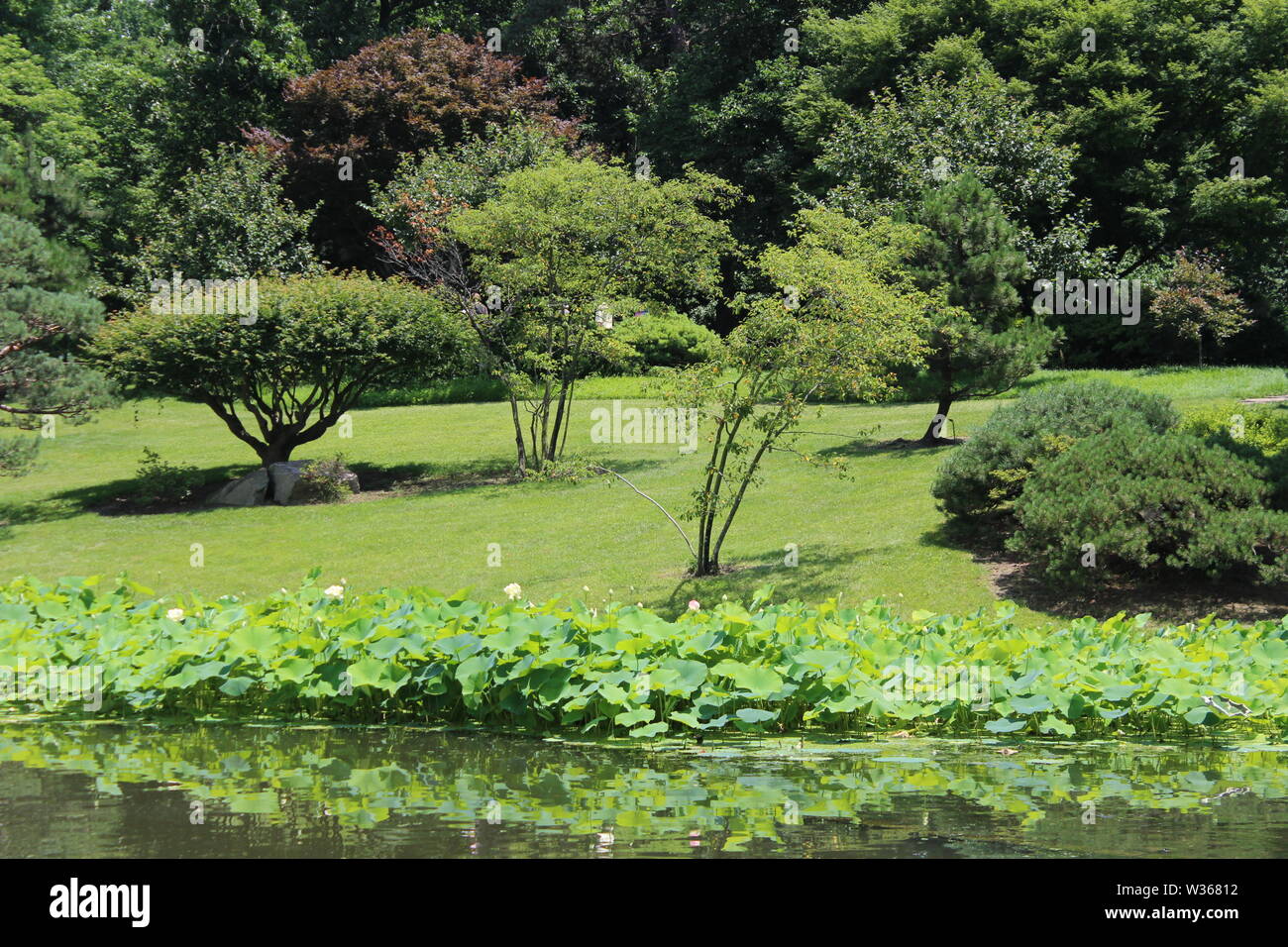 Giardino Zen Foto Stock