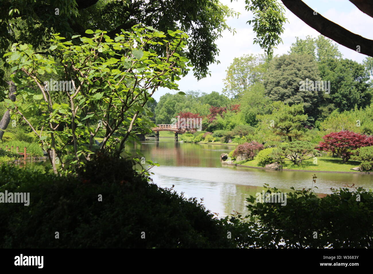 Giardino Zen Foto Stock