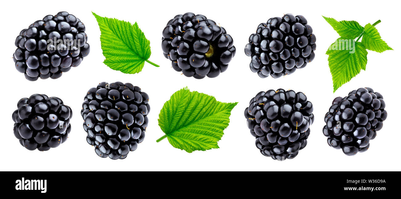 Blackberry maturi isolati su sfondo bianco closeup Foto Stock