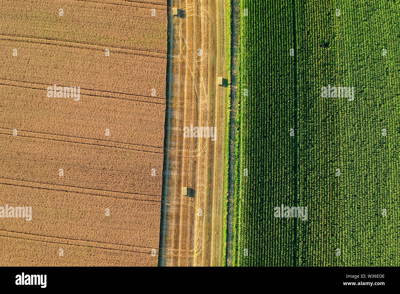 Campo agricolo è vista dalla parte superiore da un drone Foto Stock