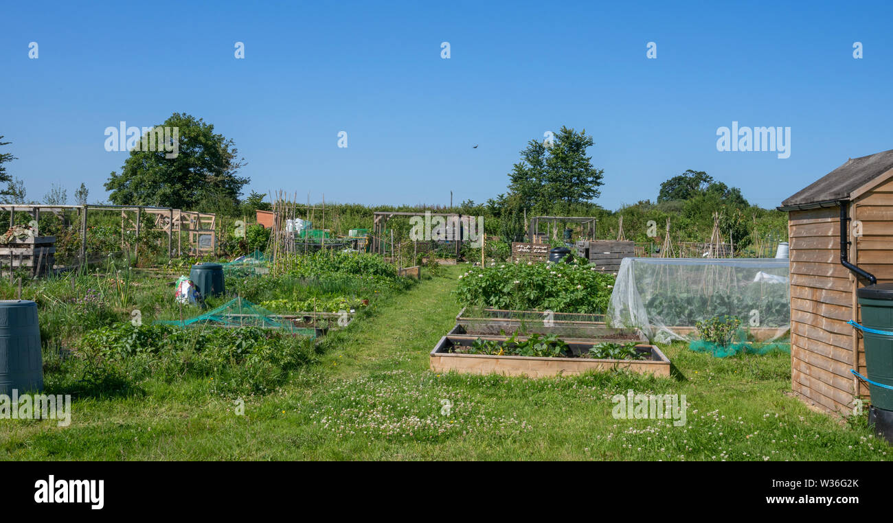 Tipico villaggio inglese comunità riparto giardino per la coltivazione di frutta e verdura Foto Stock