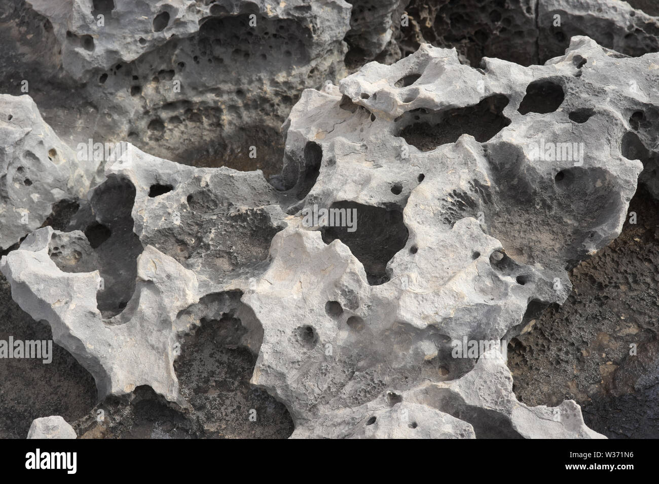 Roccia Naturale texture di calcare grigio con piccoli fori. Foto Stock