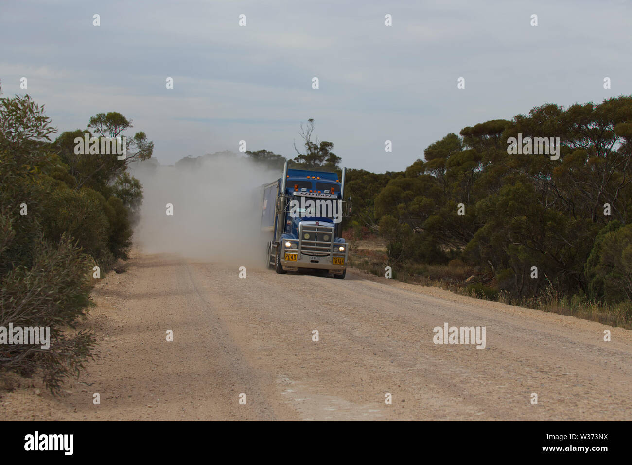 Strada treno trasporta cereali (grano) silo vicino a Wharminda Eyre Peninsula South Australia Foto Stock