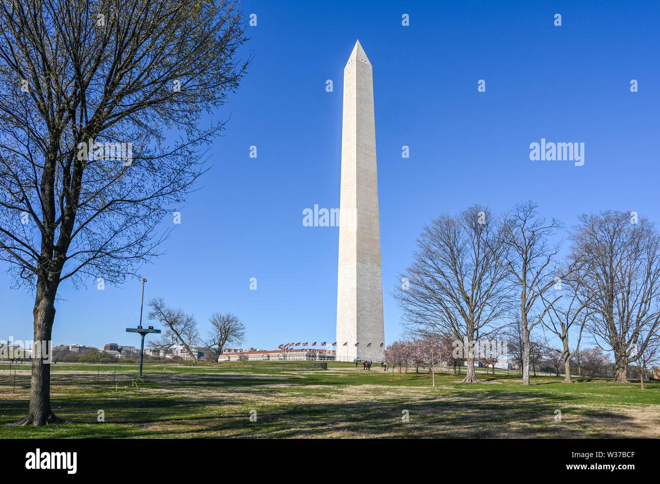Il Monumento a Washington visto dal National Mall durante la primavera del 2019. Foto Stock
