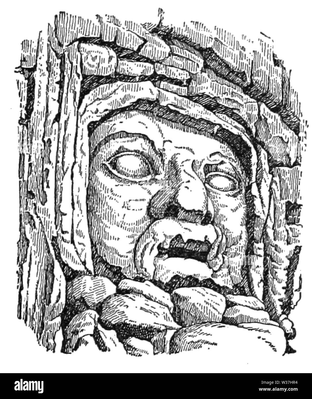 TSOM D113 Zamna Foto Stock