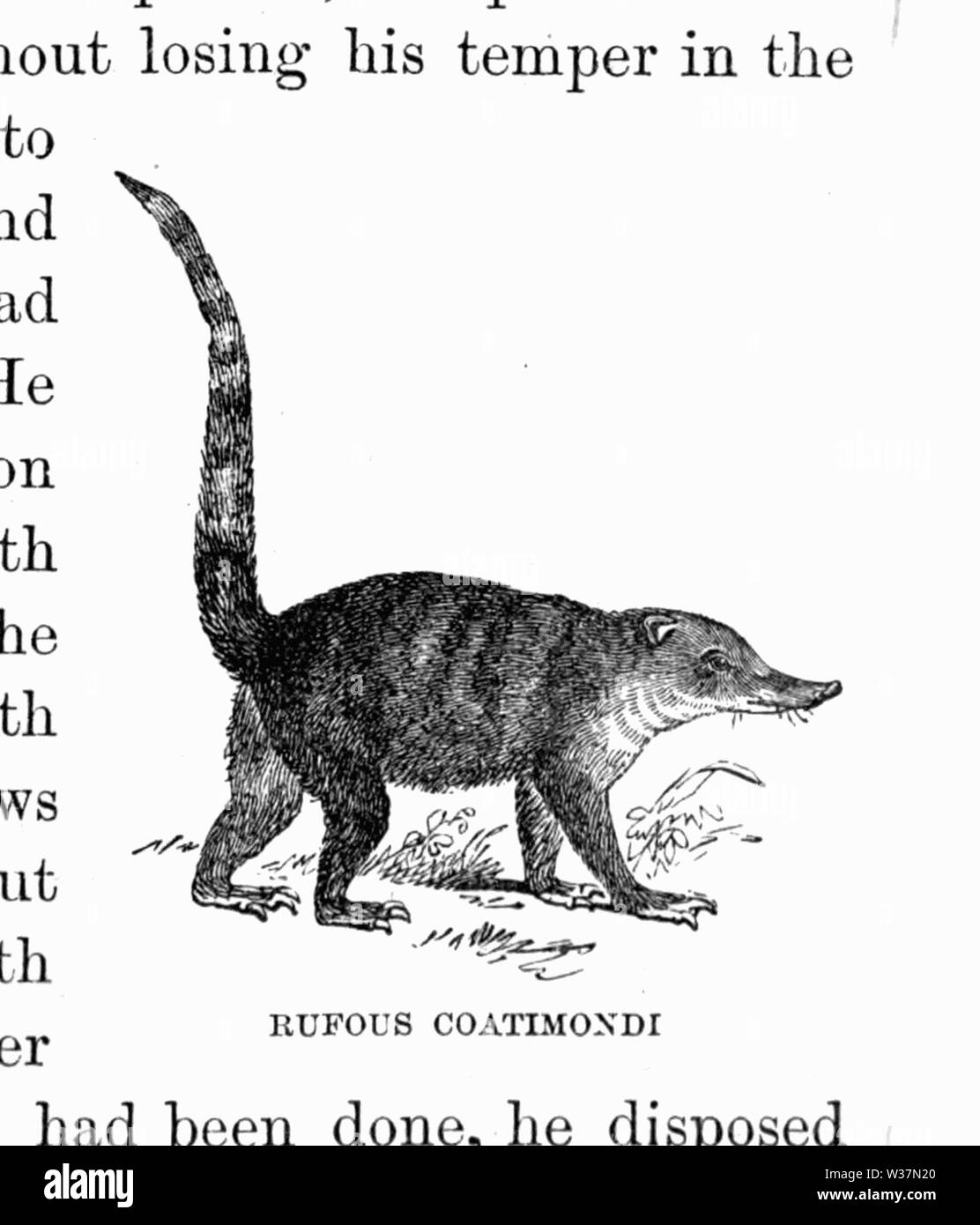 Il Tropical World 143 Foto Stock