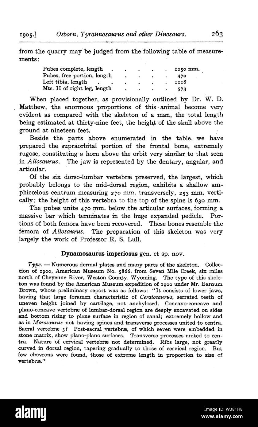 Tyrannosaurus e altri Cretaceo dinosauri carnivori Pagina 5 Foto Stock