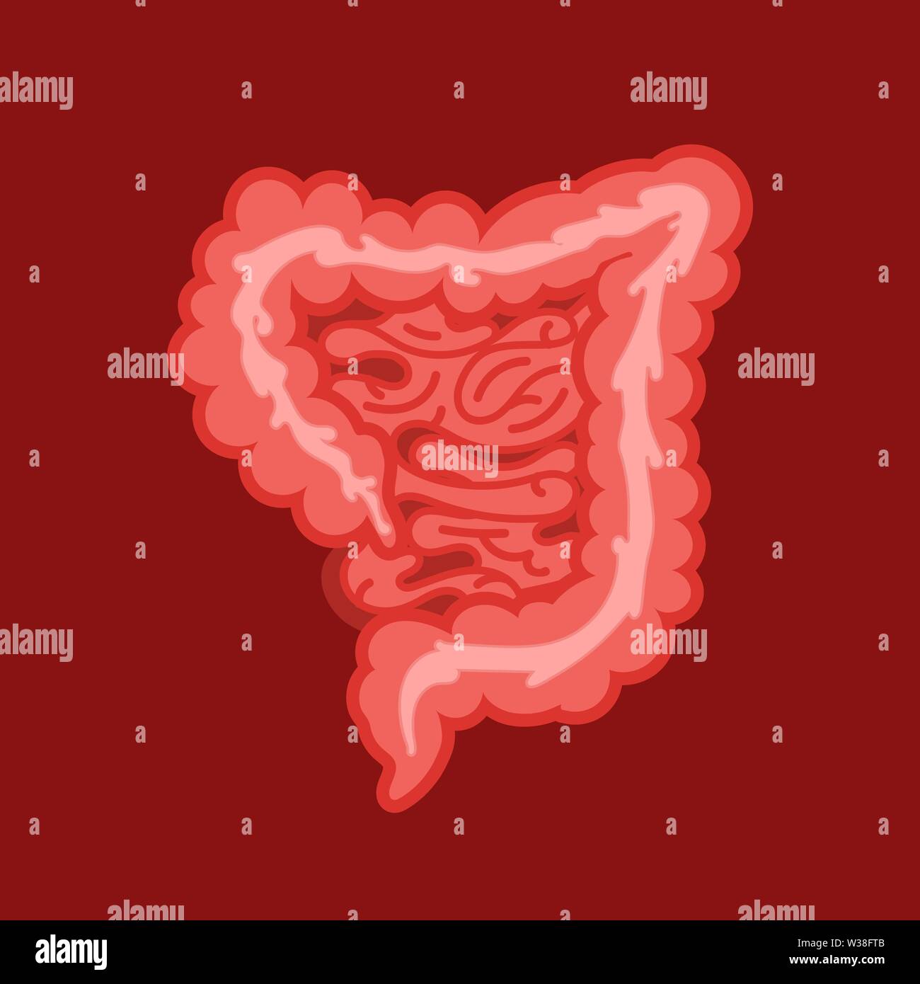 Medicina, Biologia concetto. Intestino crasso, parte del sistema digestivo. Tratto gastrointestinale Illustrazione Vettoriale