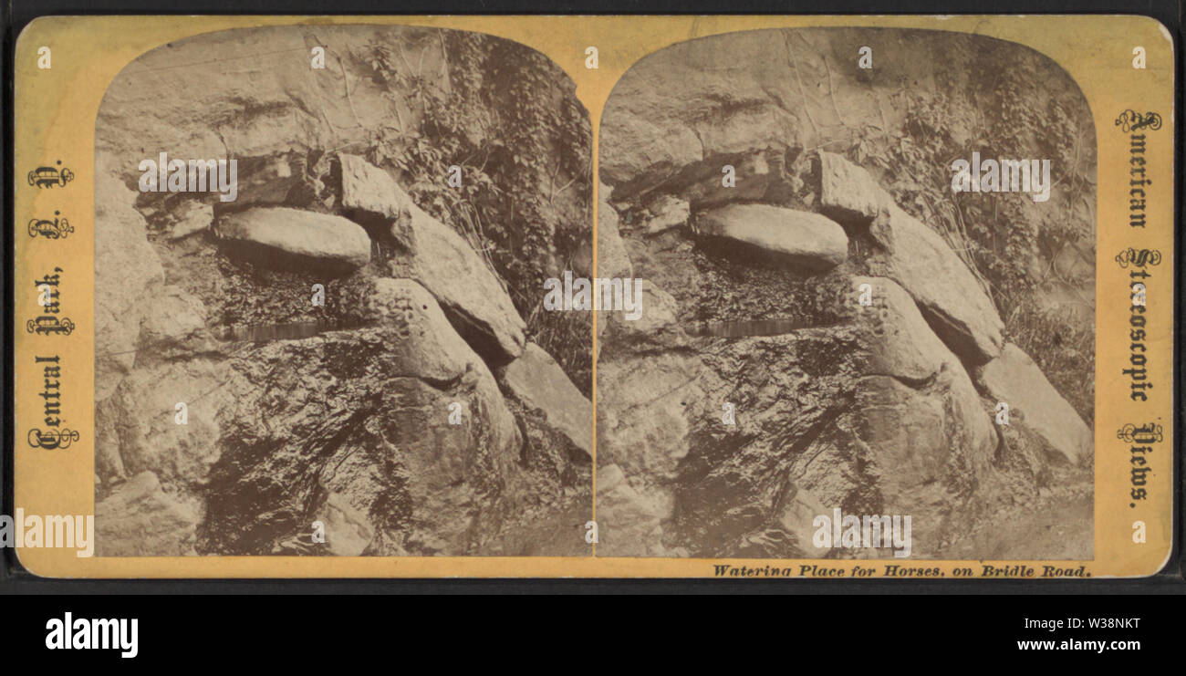 Luogo di irrigazione per cavalli, su Bridge Road, da Robert N Dennis raccolta di vista stereoscopica Foto Stock