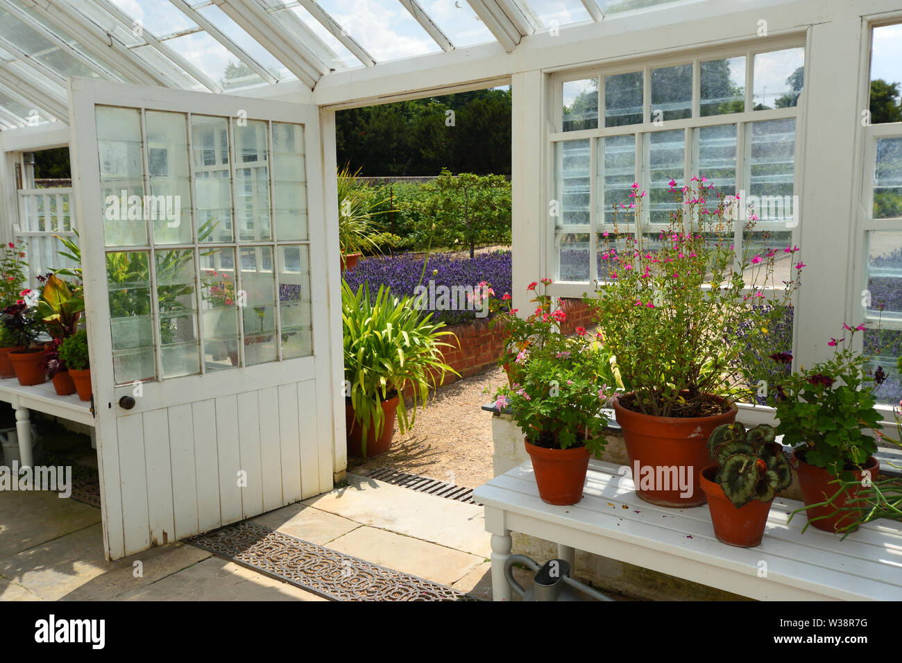 Restaurato storico interno Serra con fiori e aprire lo sportello . Foto Stock