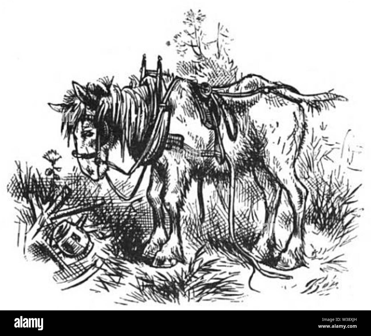 Yawcob Strauss 1910-050 Foto Stock