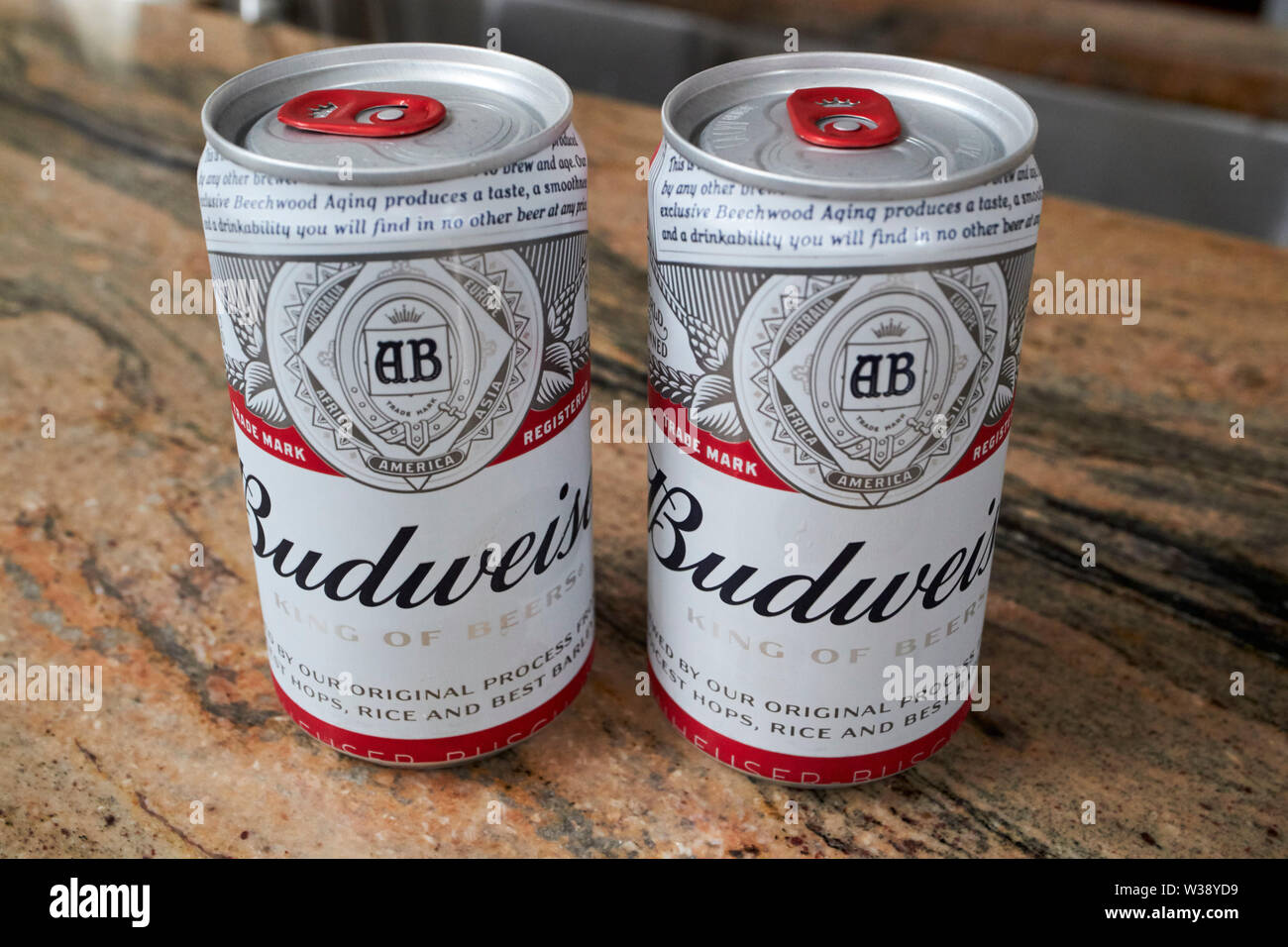 Due piccole miniatura mezza pinta di lattine di budweiser su un piano di lavoro di una cucina USA Stati Uniti d'America Foto Stock