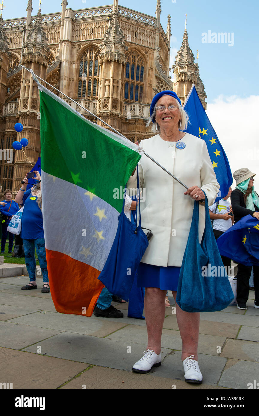 Westminster, Londra, Regno Unito. Il 26 giugno, 2019. Una signora detiene una Repubblica di Irlanda bandiera come parte dell'Brexit rimangono al di fuori della campagna l'Abbazia di Westminster. Credito: Maureen McLean/Alamy Foto Stock