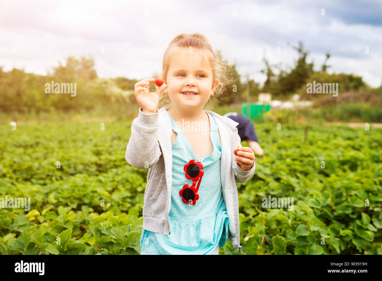 Ragazza carina la raccolta di fragole in giardino Foto Stock