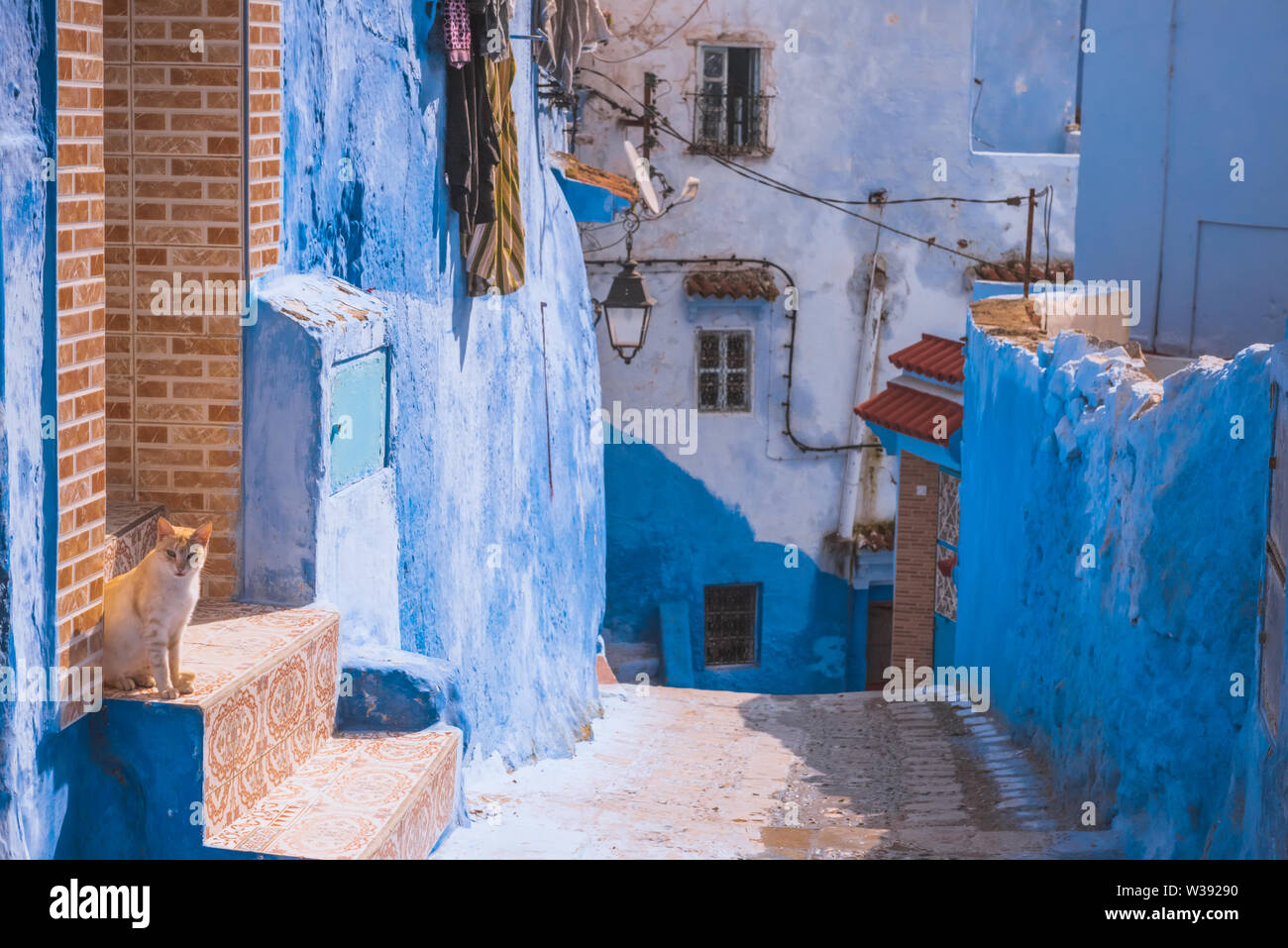 Vista incredibile della strada nella città blu di Chefchaouen. Posizione: Chefchaouen, Marocco, Africa. Foto artistiche. Bellezza Mondo Foto Stock