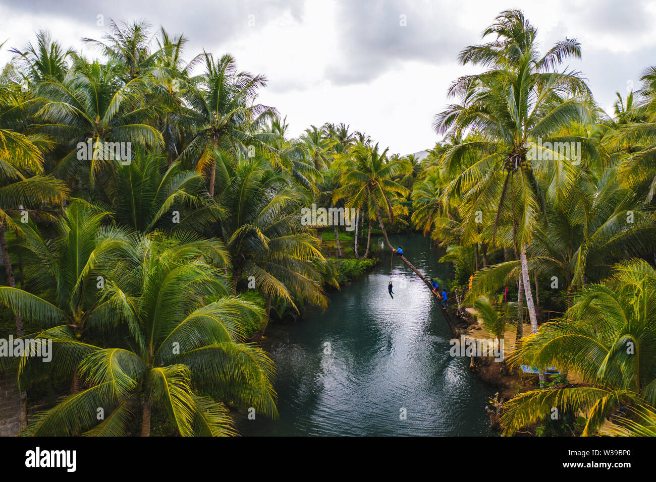 Famoso instagrammed appoggiata Palm tree al fiume Maasin nelle Siargao, Filippine - Persone aventi fun basculante in un albero di cocco nella giungla Foto Stock