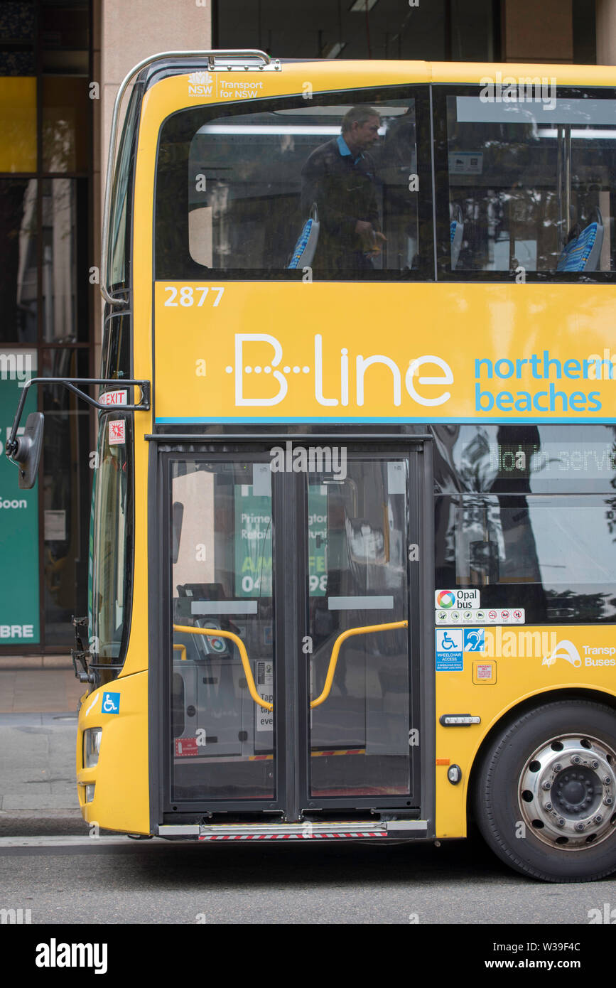 Maggio 2019: Un autista pulisce il ponte superiore di un nuovo autobus a due piani giallo B-Line parcheggiato nel centro di Sydney, Australia Foto Stock