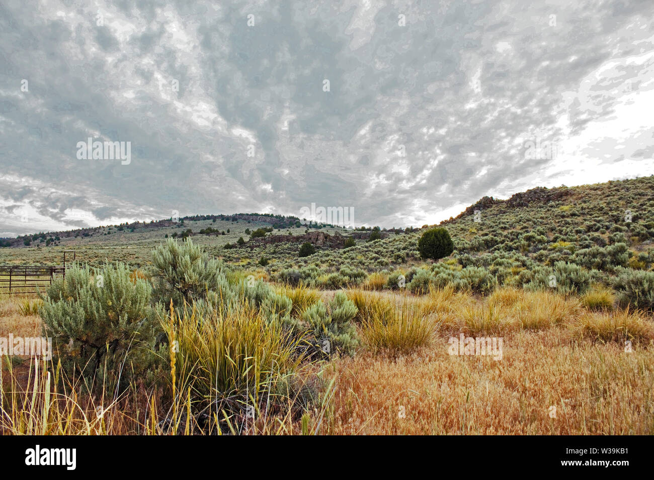 La parte Orientale del deserto di Oregon si compone principalmente di salvia. Foto Stock