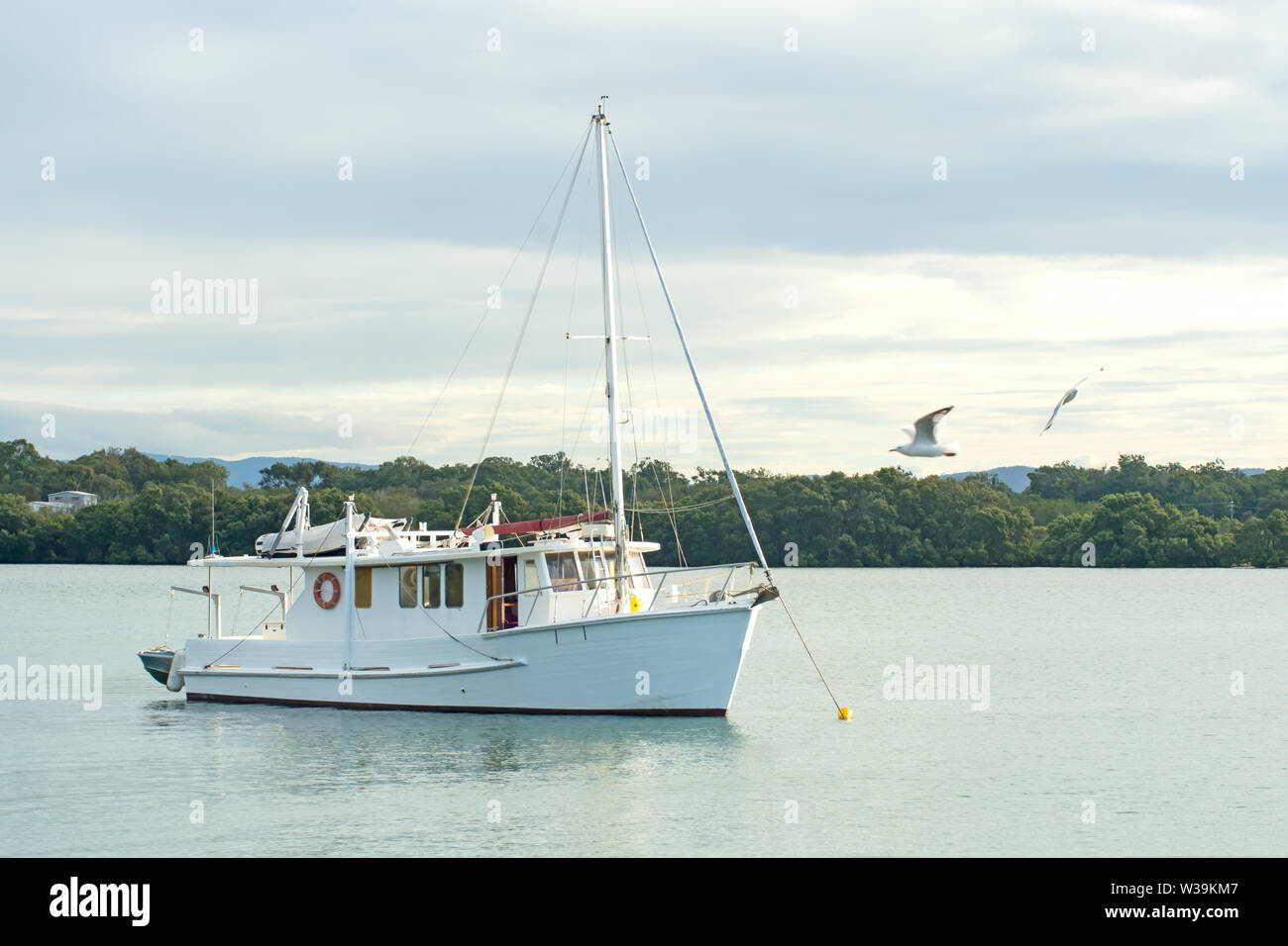Un legname vintage cruiser yacht ormeggiato sul fiume Caboolture a Beachmere Queensland Australia. Foto Stock