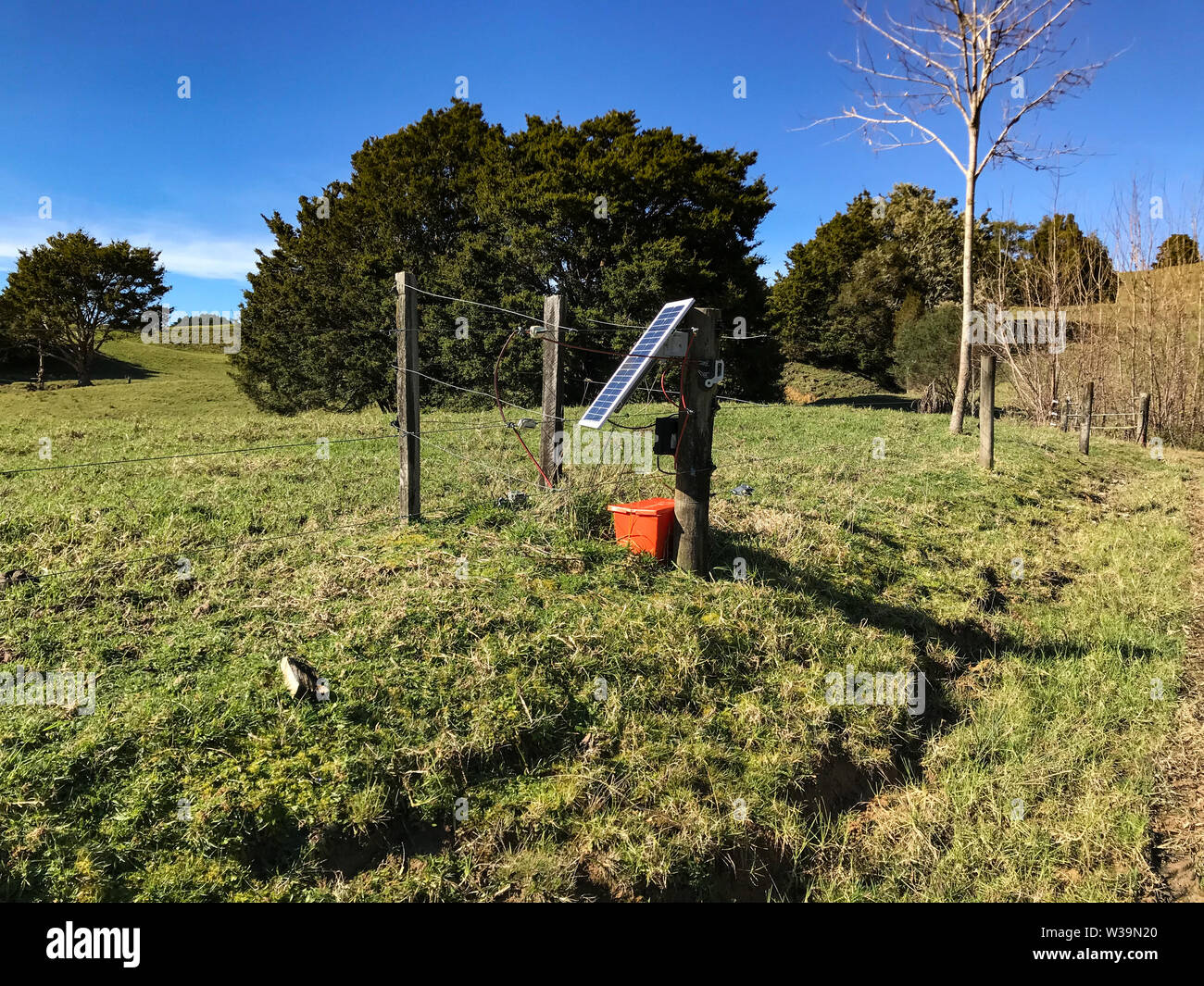 Dairy Farm in Nuova Zelanda in una giornata di sole Foto Stock