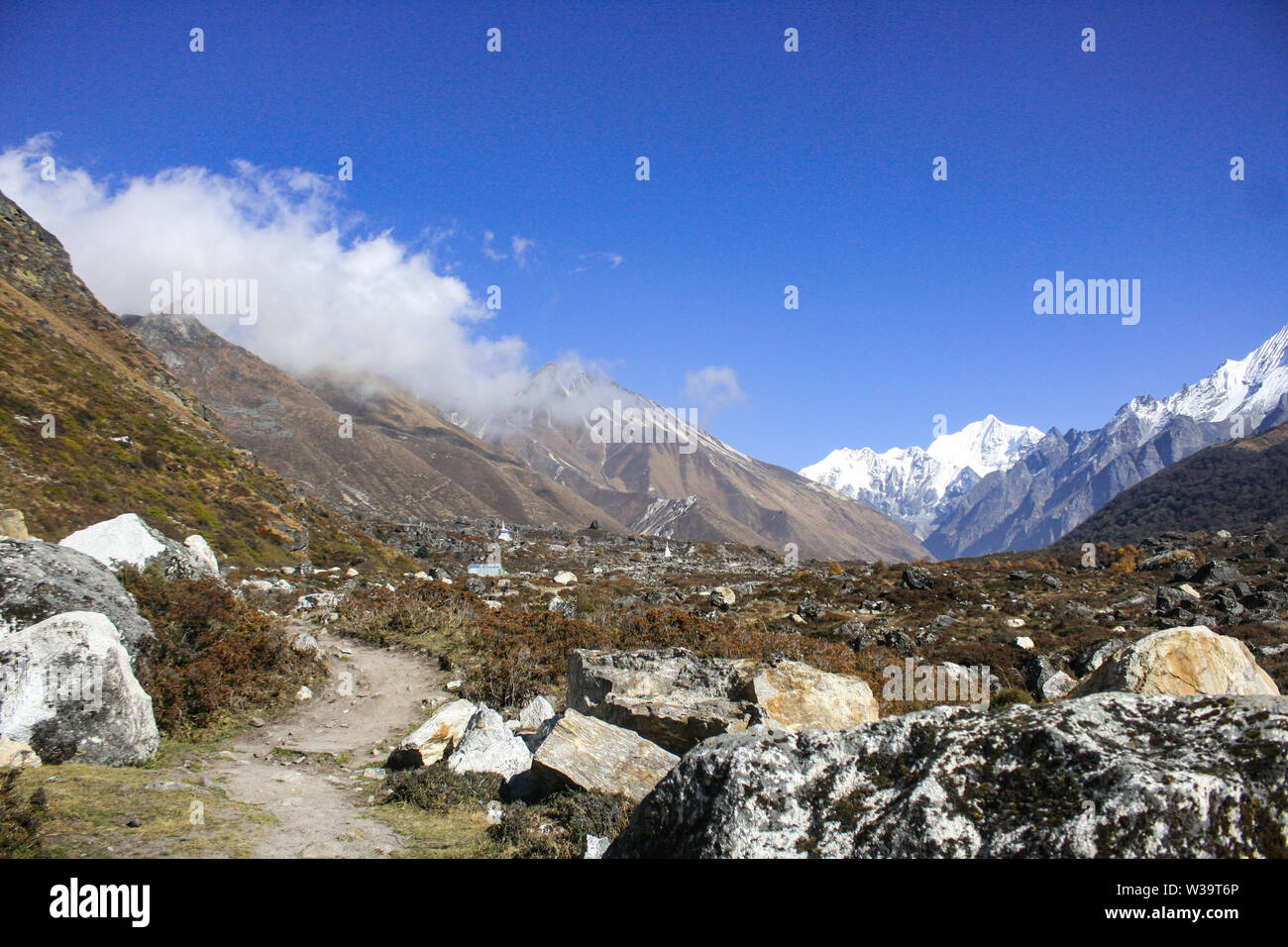 Vari picchi e montagne e splendidi paesaggi sono la principale attrazione di Langtang Valley. Gangchhepo è uno della montagna visto. Foto Stock