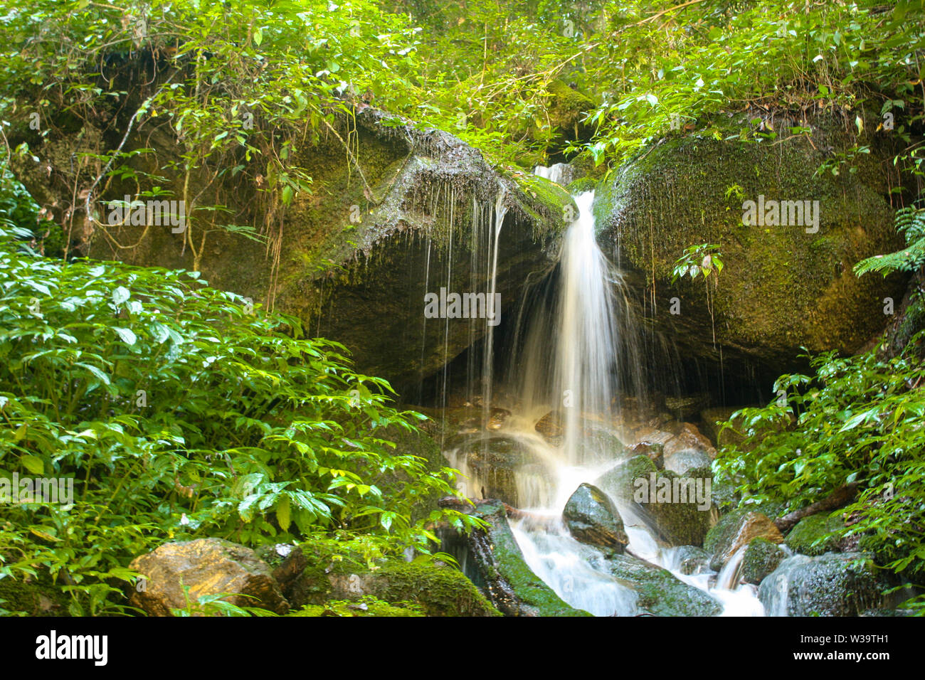 Langtang National Park si estende da terra bassa alla regione di montagna che occupa il fiume, cascata, deep forest, pietra nera montagne & montagne innevate. Foto Stock