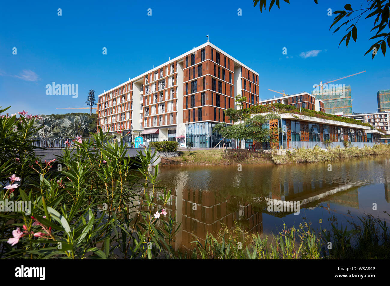 Edifici residenziali nel campus della Southern University of Science and Technology (SUSTech). Shenzhen, provincia di Guangdong, Cina. Foto Stock