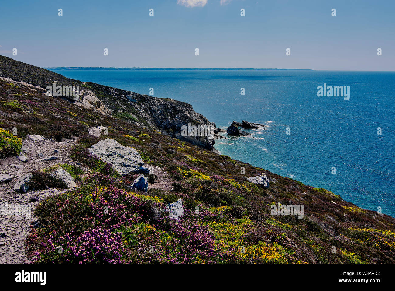 Cap de la Chevre e la costa del mare in Bretagna (Bretagne), Francia. Foto Stock