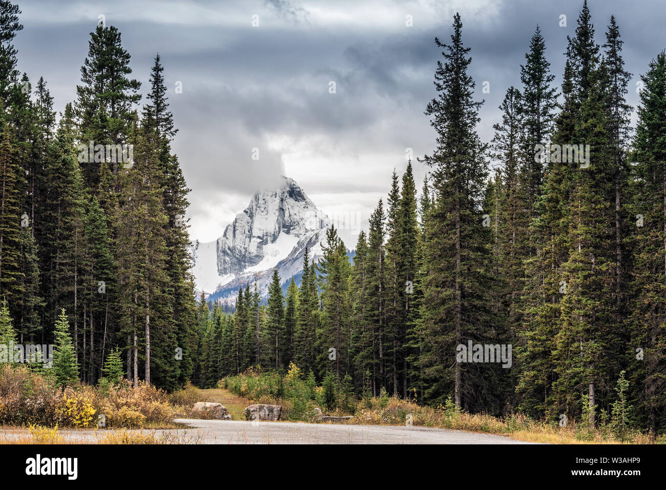 Le montagne vicino al Canmore Banff National Park, Canada. Foto Stock