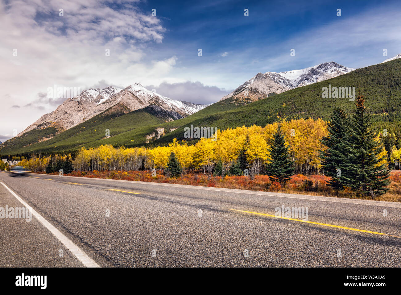 Giallo larici e montagne innevate vicino alla strada a Kananaskis, il Parco Nazionale del Canada. Foto Stock