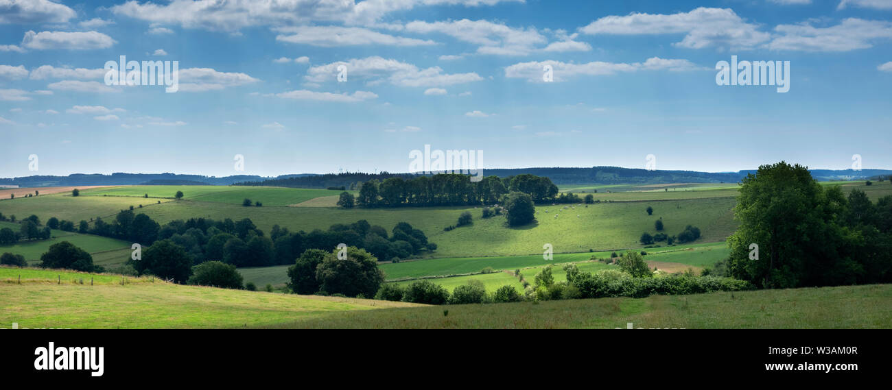 Paesaggio con il bestiame nelle Ardenne belghe nei pressi di Stavelot e Trois Ponts Foto Stock