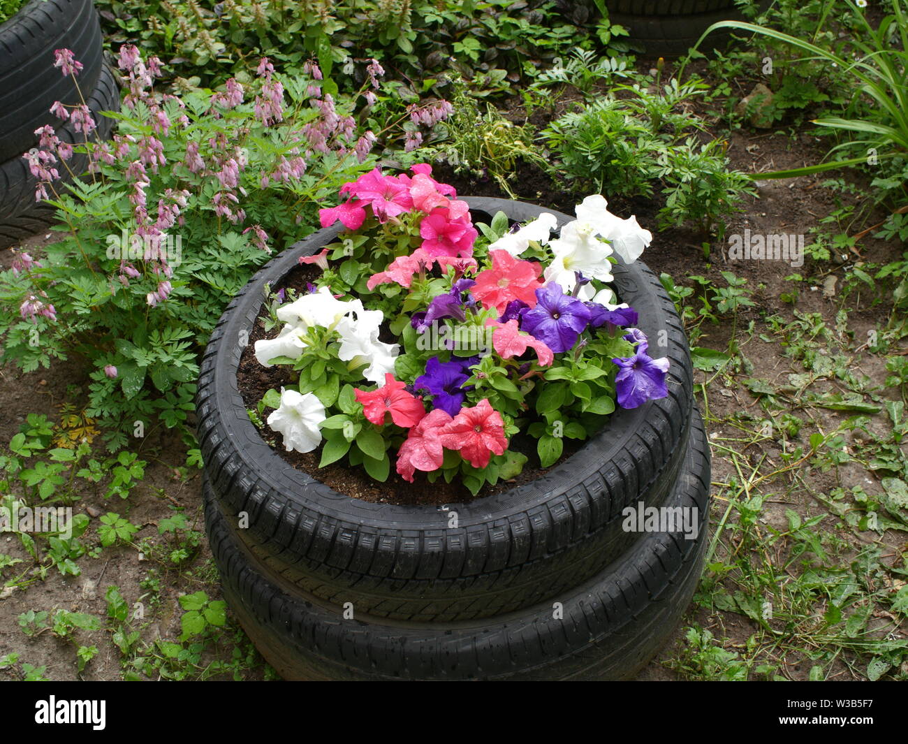 Vaso di fiori di vecchi pneumatici con fioriture di petunia Foto Stock