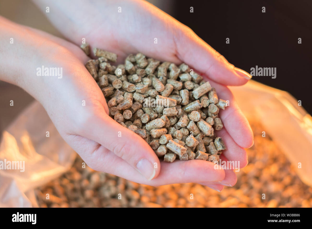 Cumulo di legno naturale pellet per riscaldamento in le mani delle donne. Eco concetto energetico, bio-carburante Foto Stock