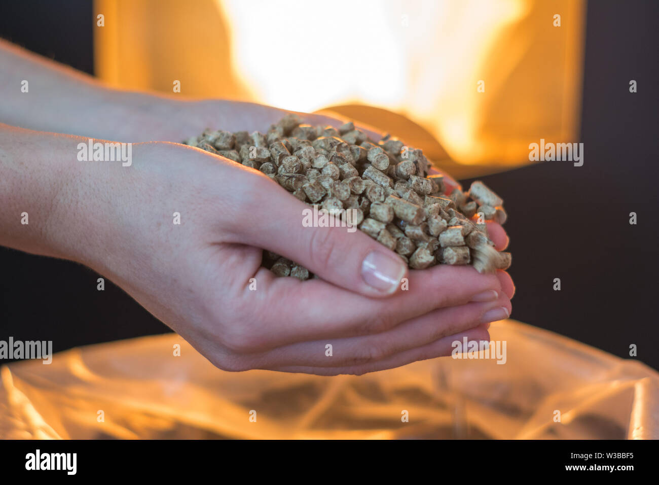 Cumulo di legno naturale pellet per riscaldamento in le mani delle donne. Eco concetto energetico, bio-carburante Foto Stock