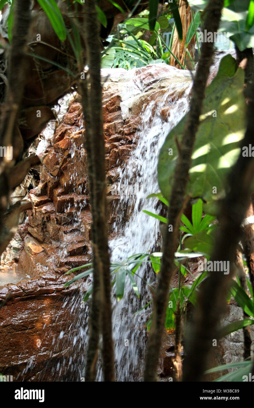 Vista tropicale acqua caduta massi piante e palme Foto Stock