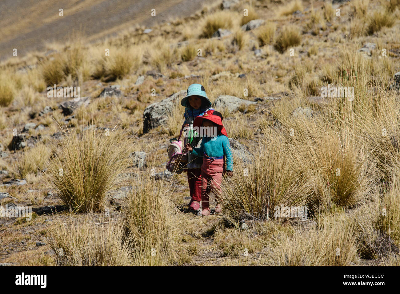 Giovani ragazzi boliviano trekking lungo la Cordillera Real traversa, Bolivia Foto Stock