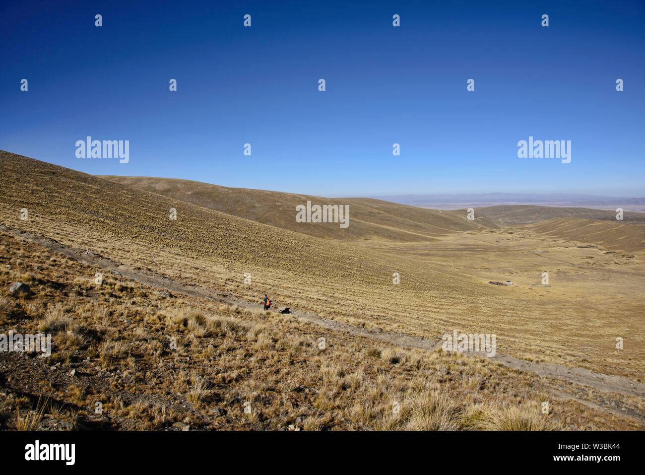 Paesaggio lungo la Cordillera Real traversa, Bolivia Foto Stock
